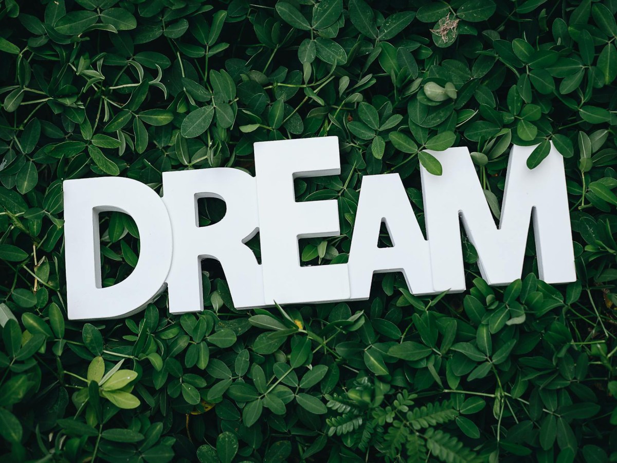 Dream