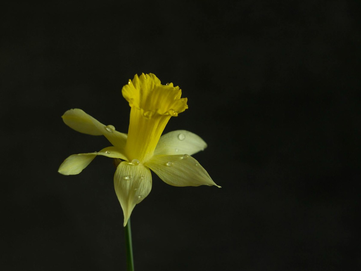 Hope